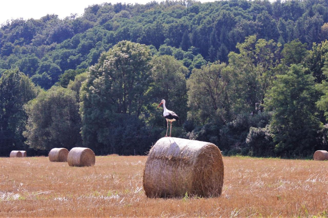 Naturpark Vendeghaz Alsoszolnok Exteriör bild